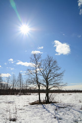 Similar image 878324