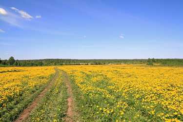 Similar image 878336