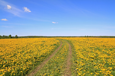 Similar image 878338