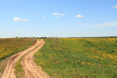 Similar image 878340