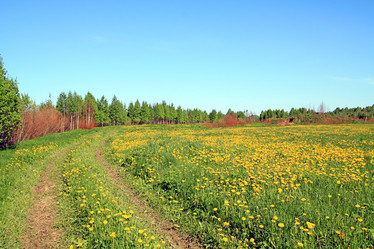 Similar image 878346