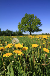 Similar image 878356