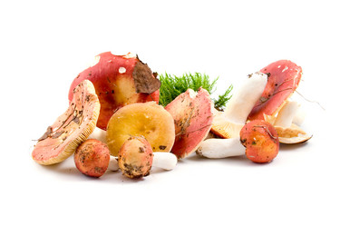 Similar image 878360