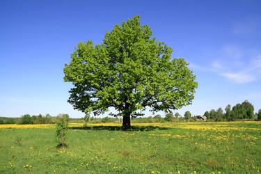 Similar image 878369