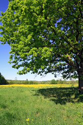 Similar image 878373