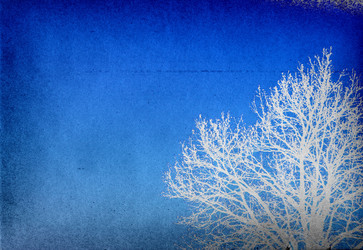 Similar image 878402