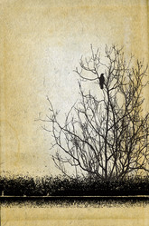 Similar image 878411