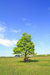 Similar image 878412