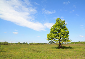 Similar image 878414