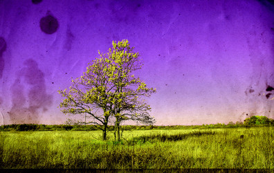 Similar image 878439