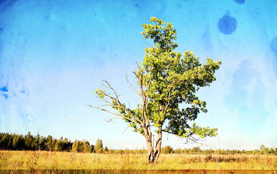 Similar image 878449