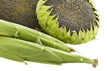 Similar image 878452