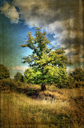 Similar image 878453