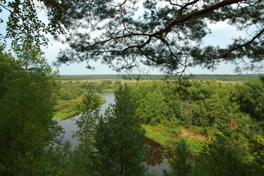 Similar image 878461