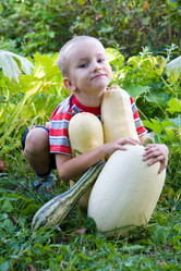 Similar image 878472