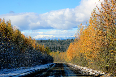 Similar image 878473