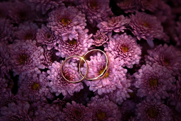 Similar image 878499