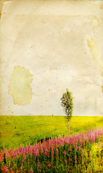 Similar image 878505