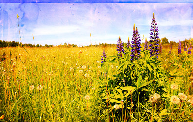 Similar image 878511