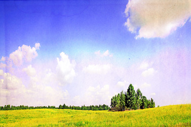 Similar image 878517