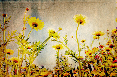 Similar image 878527