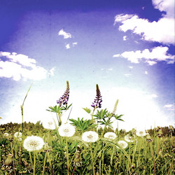 Similar image 878533