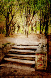 Similar image 878547