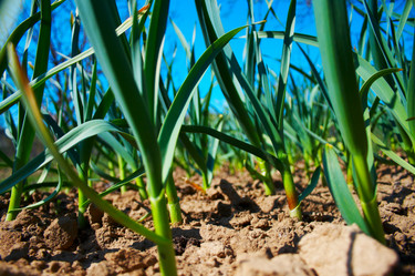 Similar image 878556