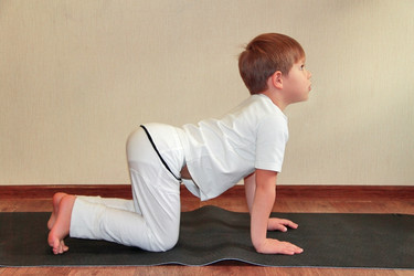 Similar image 878562