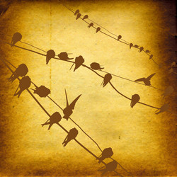 Similar image 878632