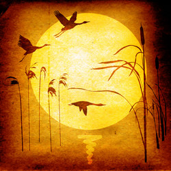 Similar image 878638