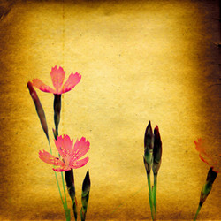 Similar image 878639