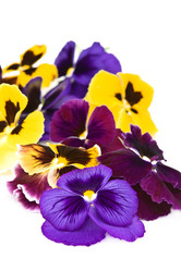 Similar image 878666