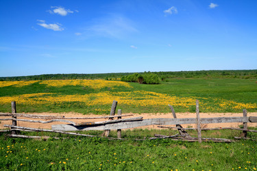 Similar image 878669