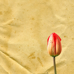 Similar image 878683