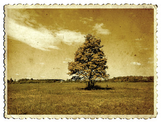 Similar image 878751