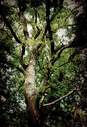 Similar image 878769