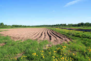 Similar image 878816