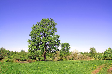 Similar image 878831