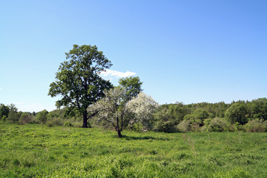 Similar image 878834