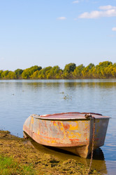 Similar image 878838