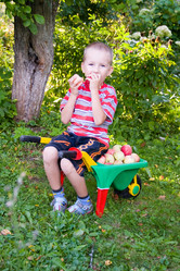 Similar image 878844