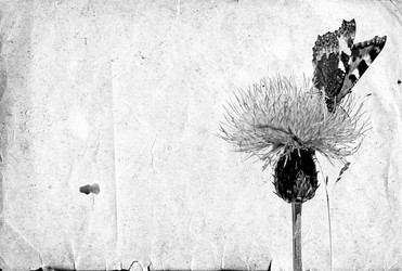 Similar image 878850