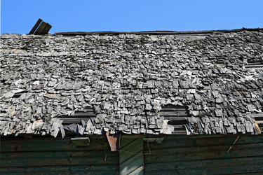 Similar image 878875