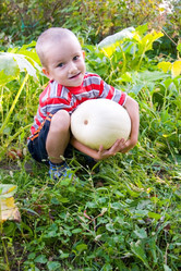 Similar image 878879