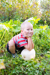 Similar image 878880