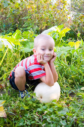 Similar image 878881