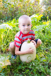 Similar image 878883