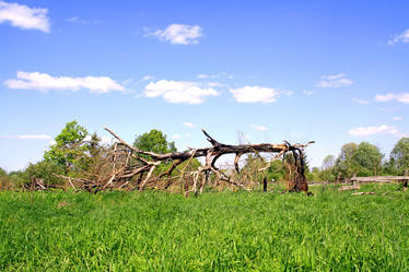 Similar image 878884