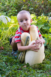 Similar image 878885